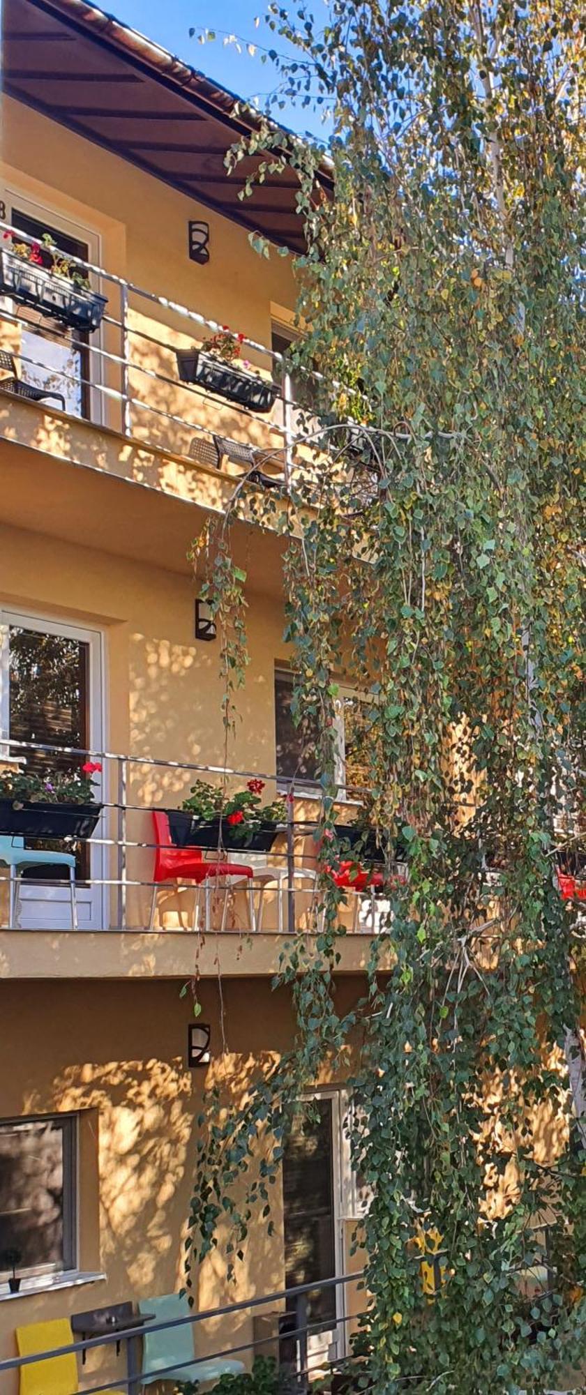 Vila Sia Bucarest Exterior foto